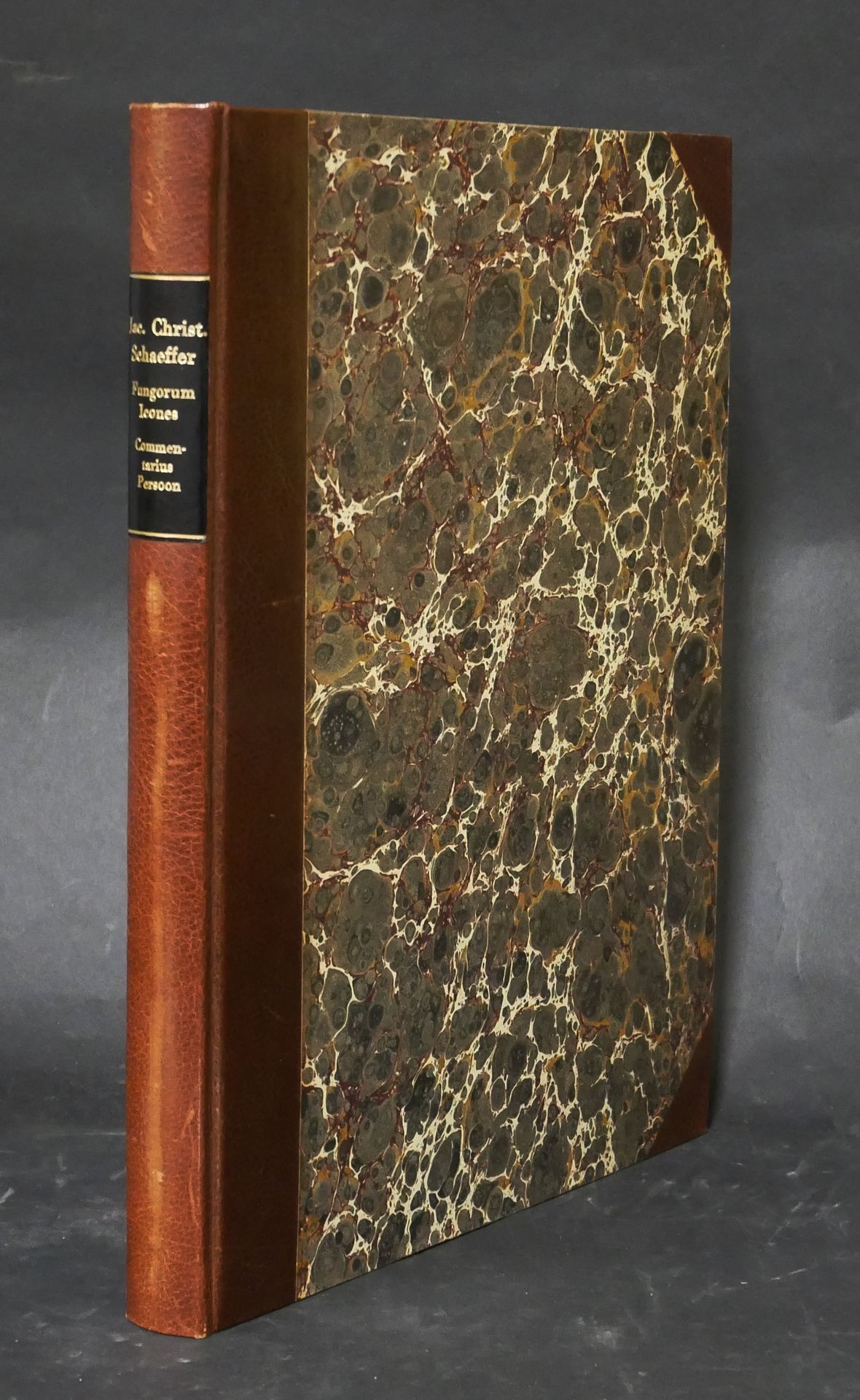 Null Jakob Christian SCHÄFFER C. H. PERSOON. Commentarius D. Iac. Christ. Schaef&hellip;