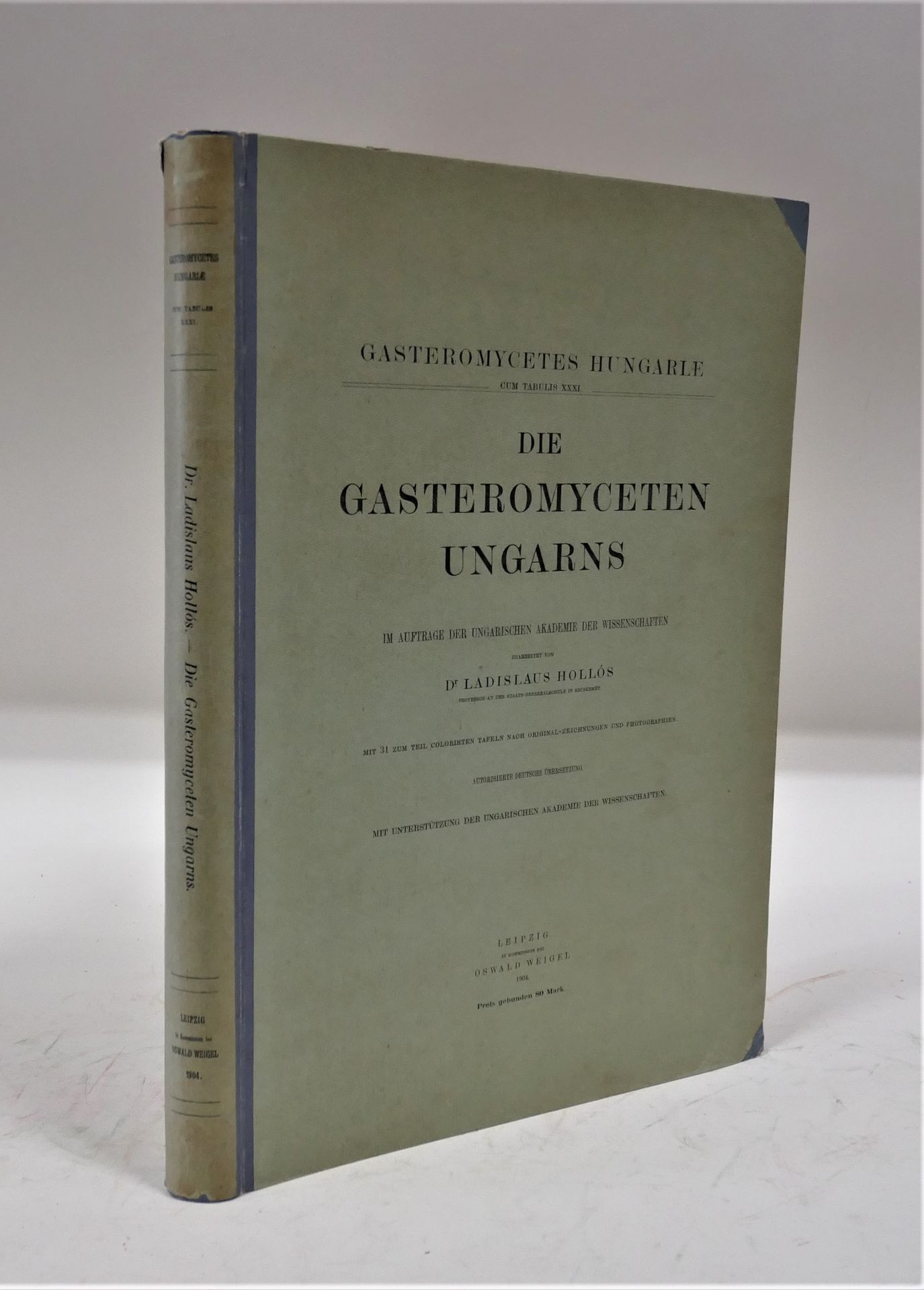 Null Ladislaus HOLLOS.

Die gasteromyceten ungaris.奥斯瓦尔德-魏格尔，1904年。在乡下。