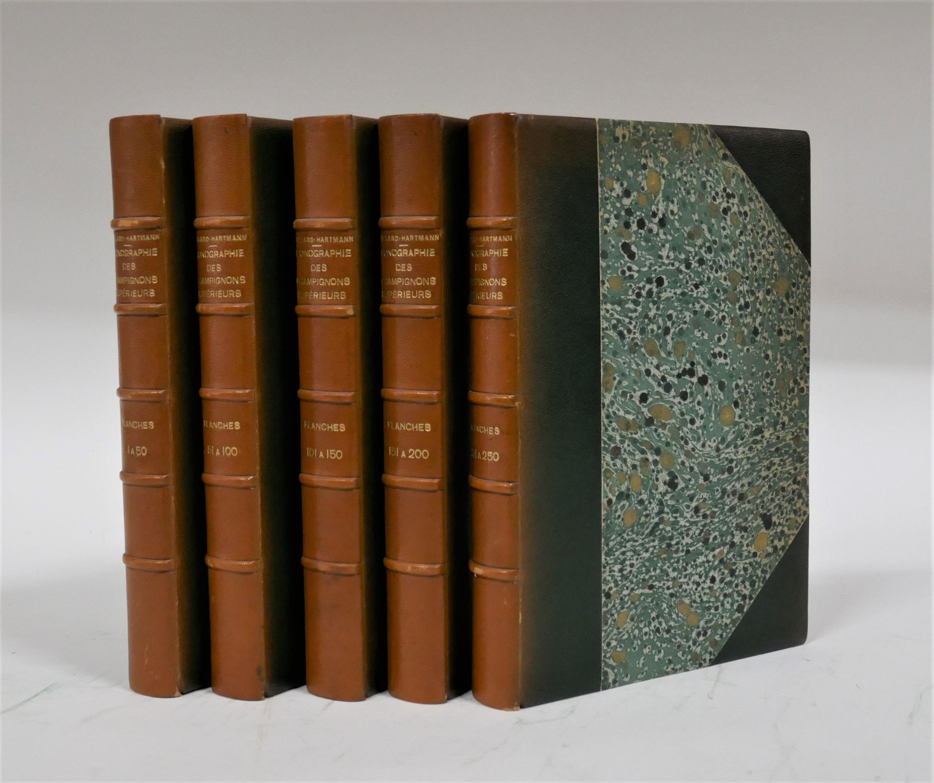 Null Juillard-Hartmann.高等真菌的图像学。Juillard et fils, 1919.

第1卷，50张图，560个彩色物种。

第二卷&hellip;
