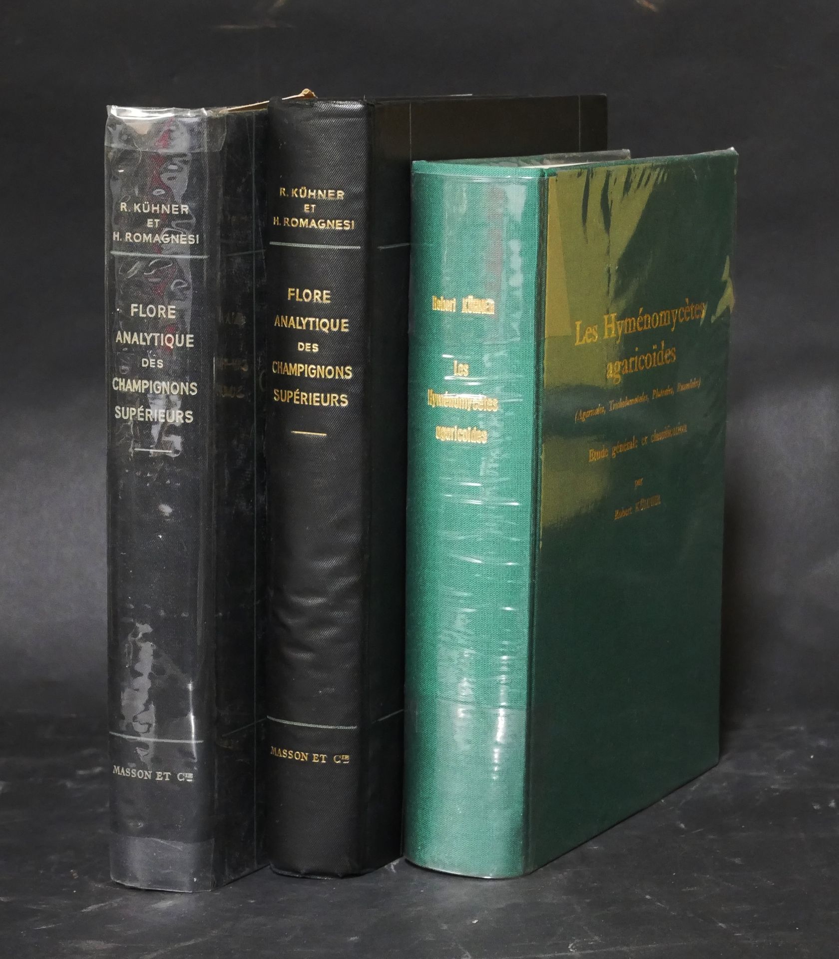 Null 罗伯特-库纳-罗马格内西.

分析真菌的植物区系。马松，1953年，2卷。In-4.

- 罗伯特-库赫纳。

The Hymenomycetes a&hellip;
