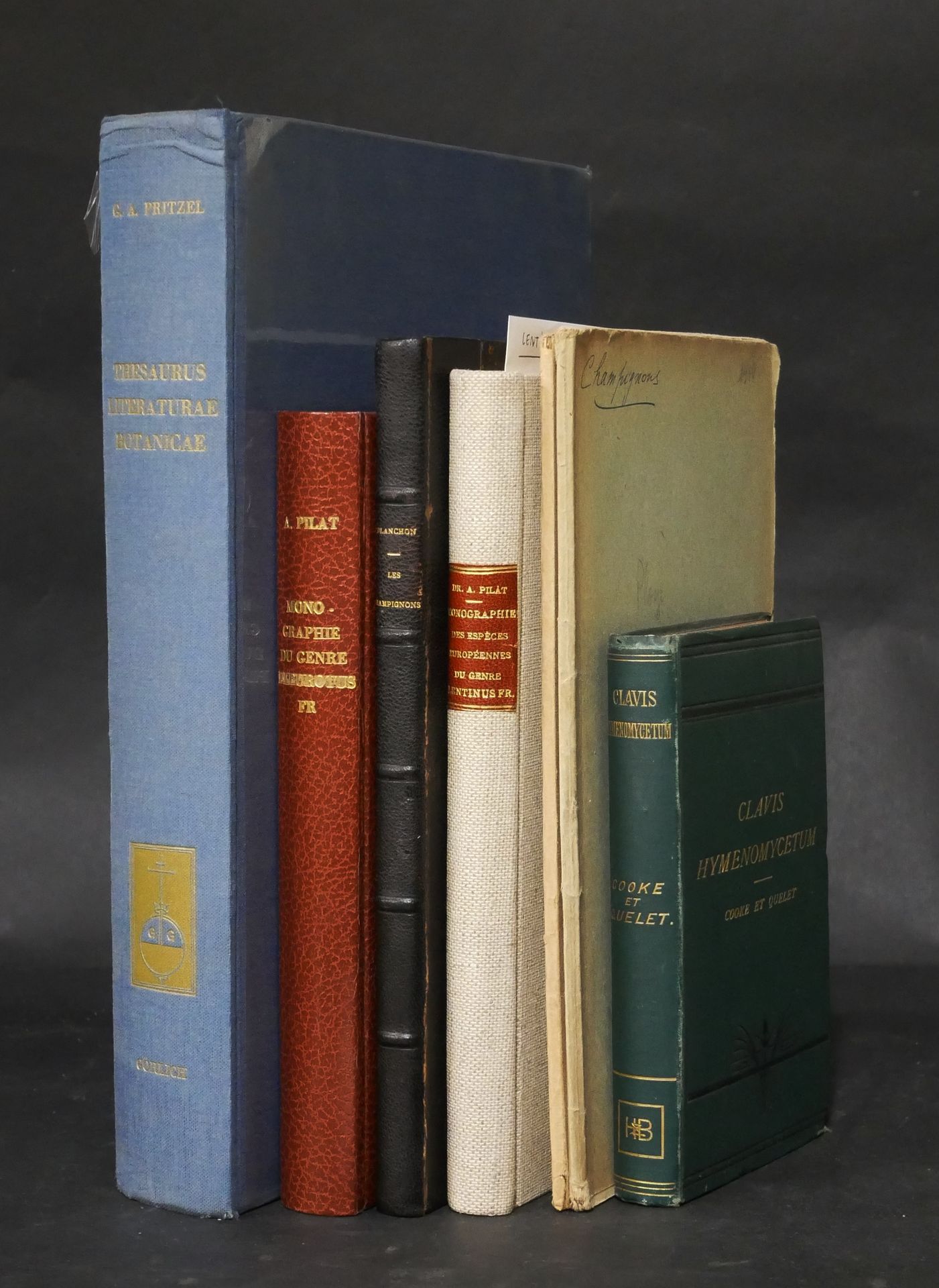Null .阿尔伯特-皮拉特。

- 欧洲蘑菇地图集》。A系列，第6至16册装订成一册。

- 阿尔伯特-皮拉特。lentinus种的专著。布拉格，1946年。&hellip;