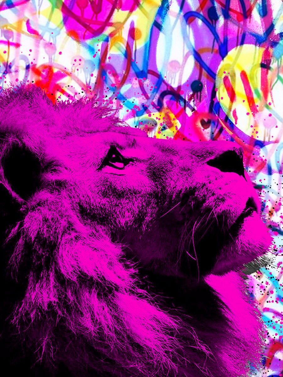 Null BRAIN ROY (MR&ROY, Né en 1980) 

Pink Lion Graffiti

Impression digitale so&hellip;