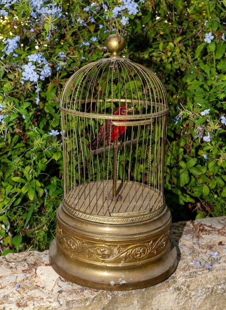 Null Cage à oiseau chanteur en bronze doré et oiseau naturalisé.

Porte une étiq&hellip;