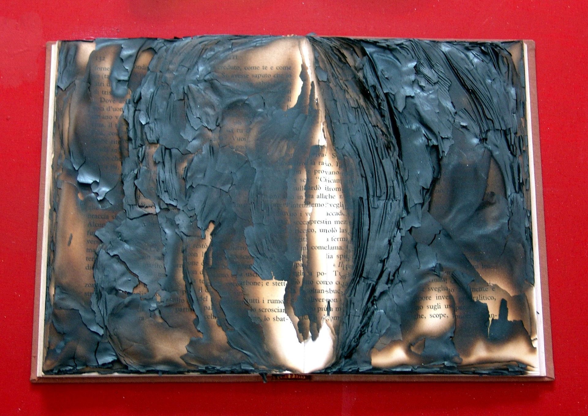 BERNARD AUBERTIN Livre brûlé, 2010, libro bruciato su tavola, 50x60 cm

firma de&hellip;