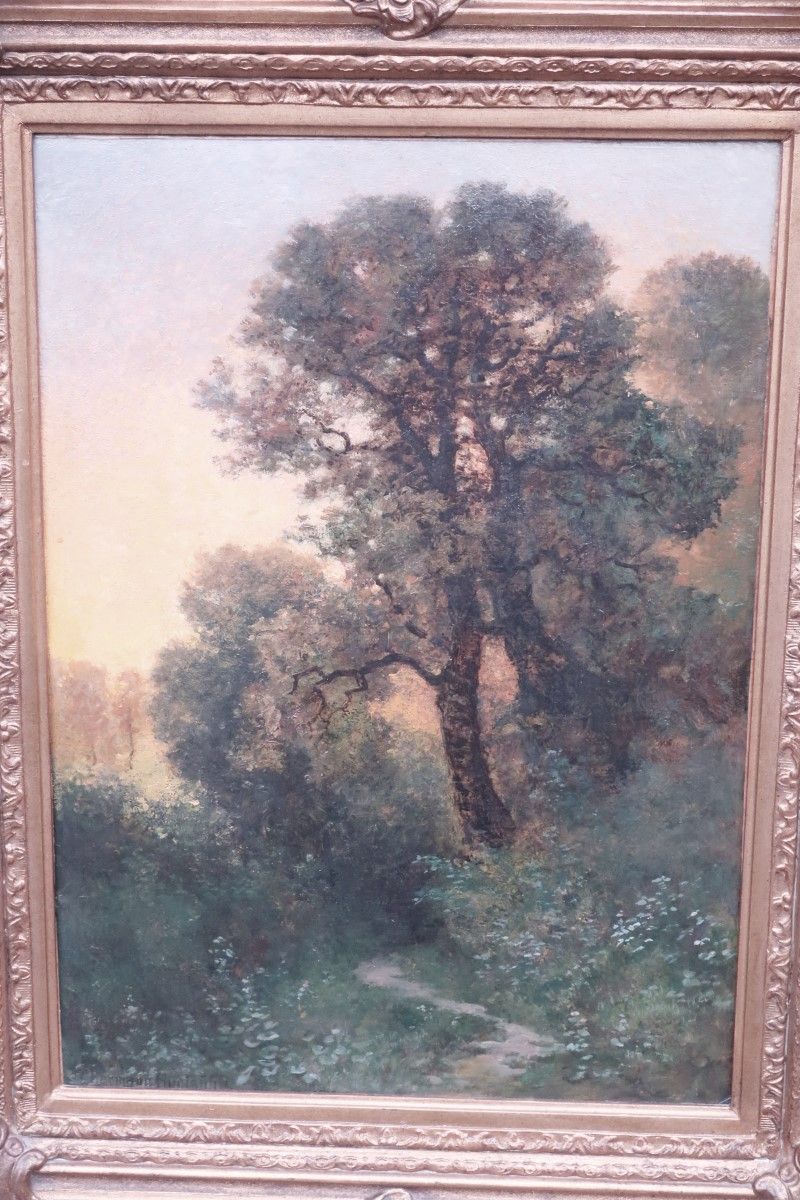 Null Hermann Rüdisühli (1864-1945) "Tramonto nella foresta", olio su carta monta&hellip;
