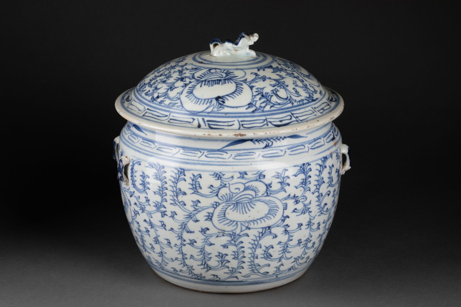 CHINE - Fin XIXe siècle 覆盖的POT与风格化的叶子

瓷器和蓝色釉下彩

H.23.5厘米 - 宽24厘米
