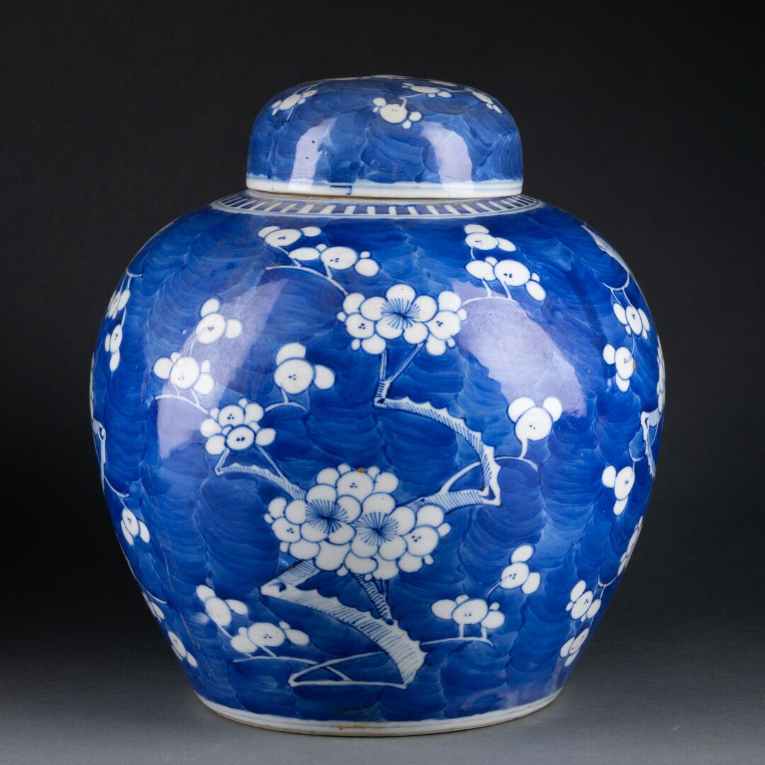 CHINE - Vers 1900 GINGEMBER-POTENZIAL mit Reservedekor aus Prunuszweigen. 
Porze&hellip;