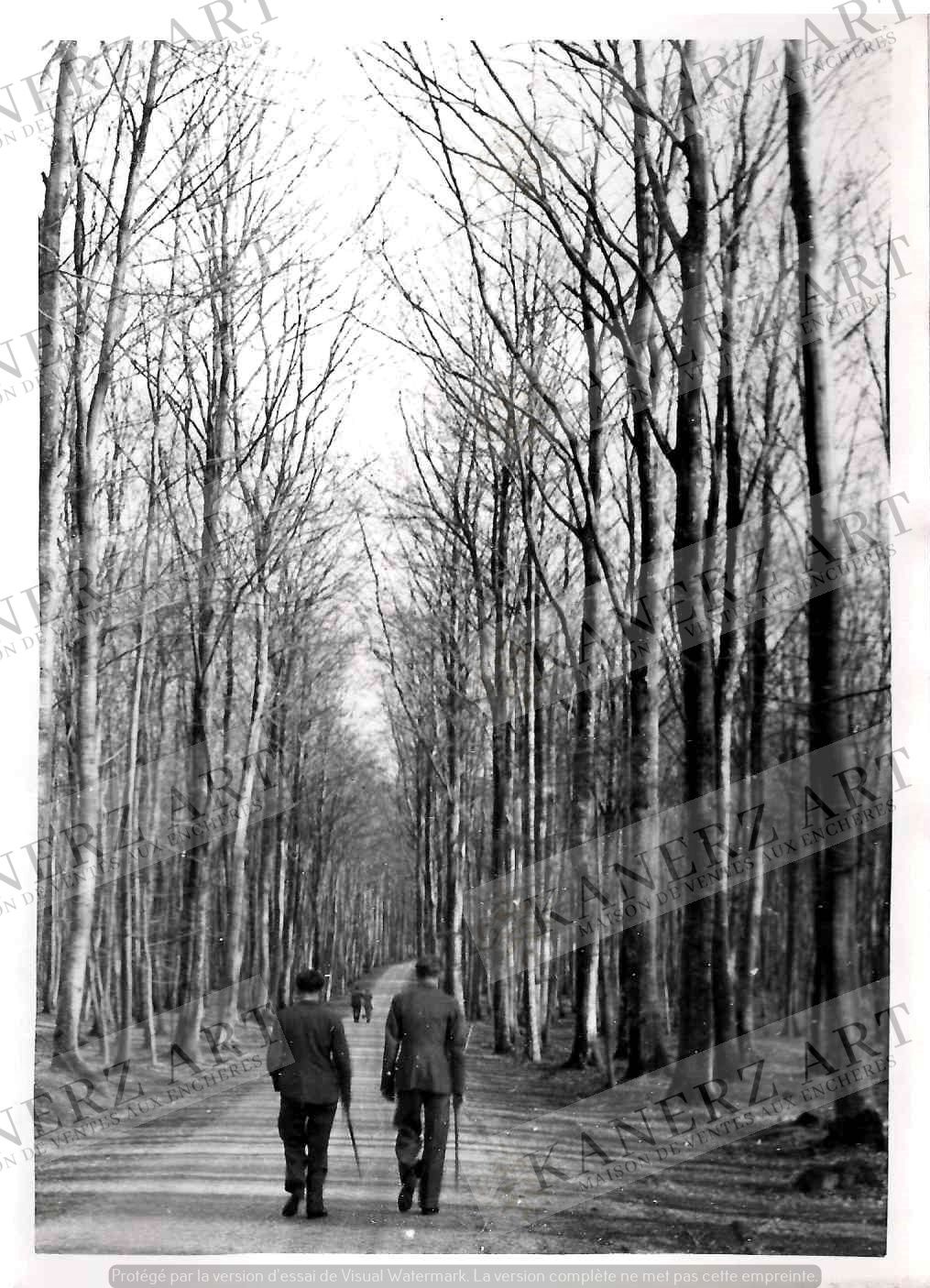 Null (PHOTO/F. MERSCH) A photo of the GRUNEWALD, with stamp Photo N. SIBENALER (&hellip;