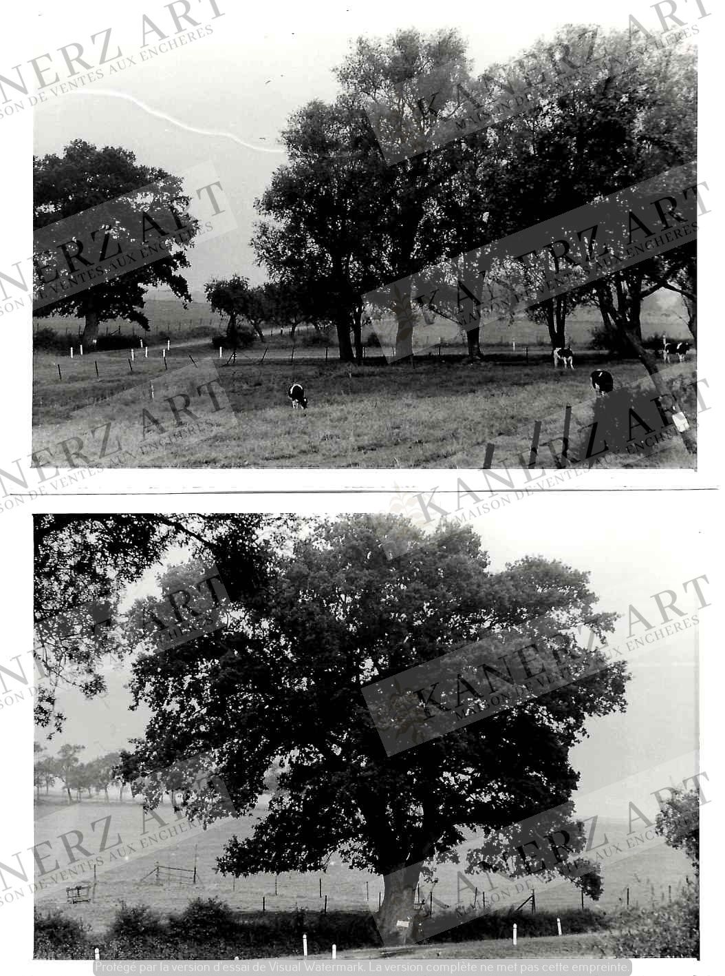 Null (PHOTO/F. MERSCH) Set mit 2 Fotos des Dorfes HERBORN (Aus der Sammlung Fran&hellip;