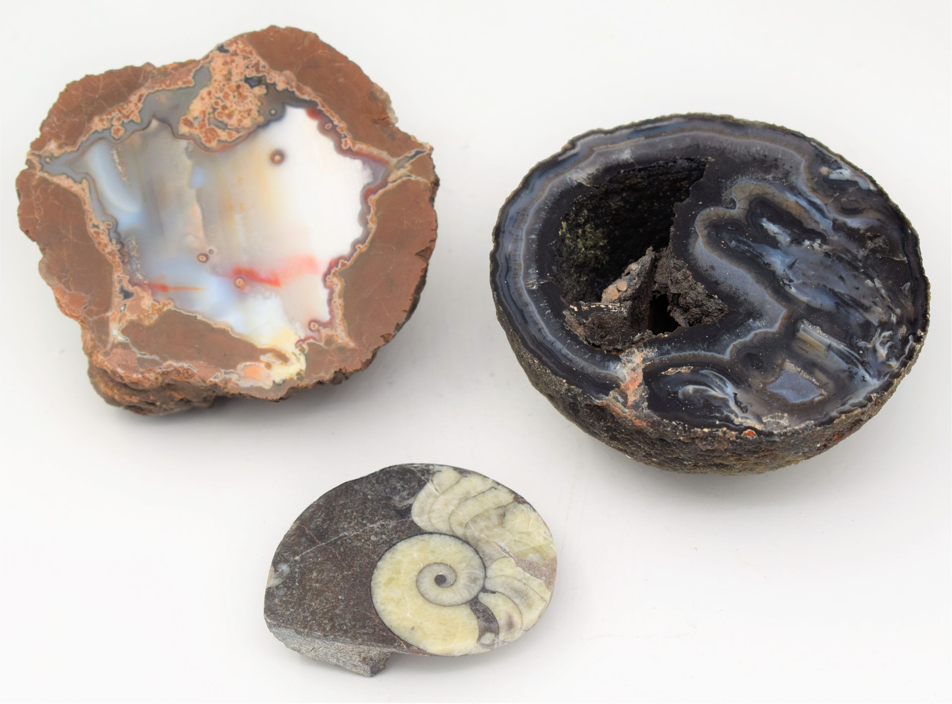 Null (MINERALOGIA) Set di 2 Agate (diam. 8 cm e 7,5 cm) e 1 Goniatite (5,5 cm)

&hellip;