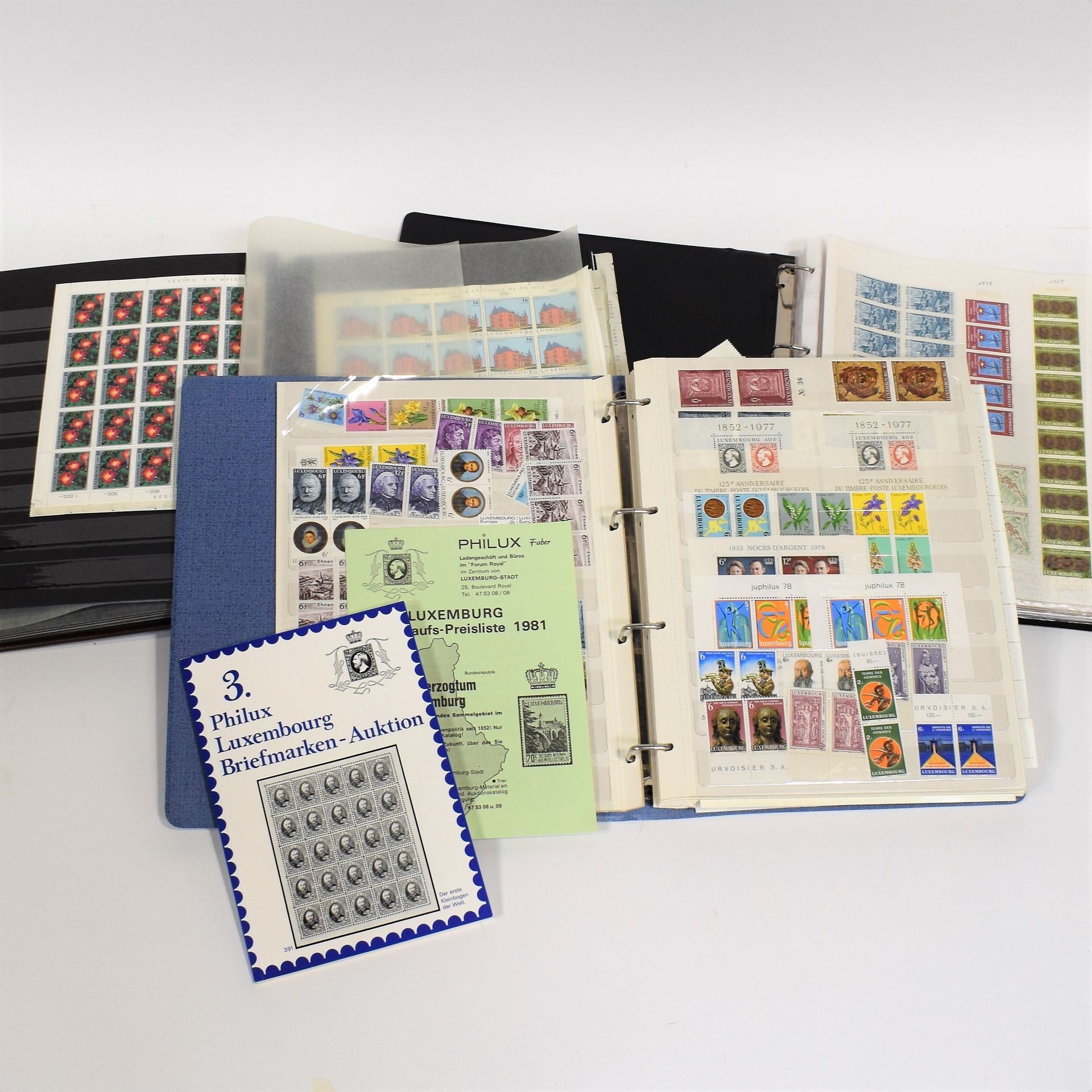 Null (PHILATELY)重新组合了3本60年代至80年代的卢森堡新邮票相册，有许多4、25或50张邮票的版式。
