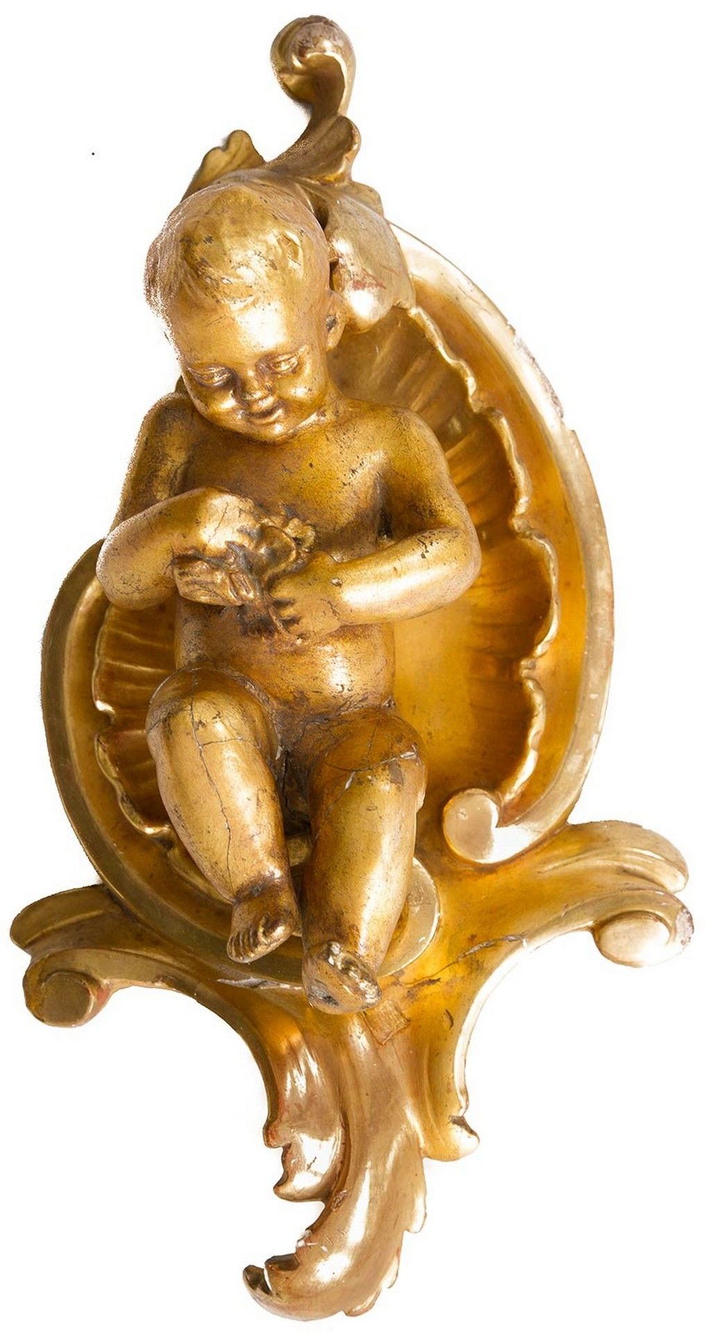 Null Golden terracotta leaf cherub in a gilded wood shell , Late 19th century H &hellip;