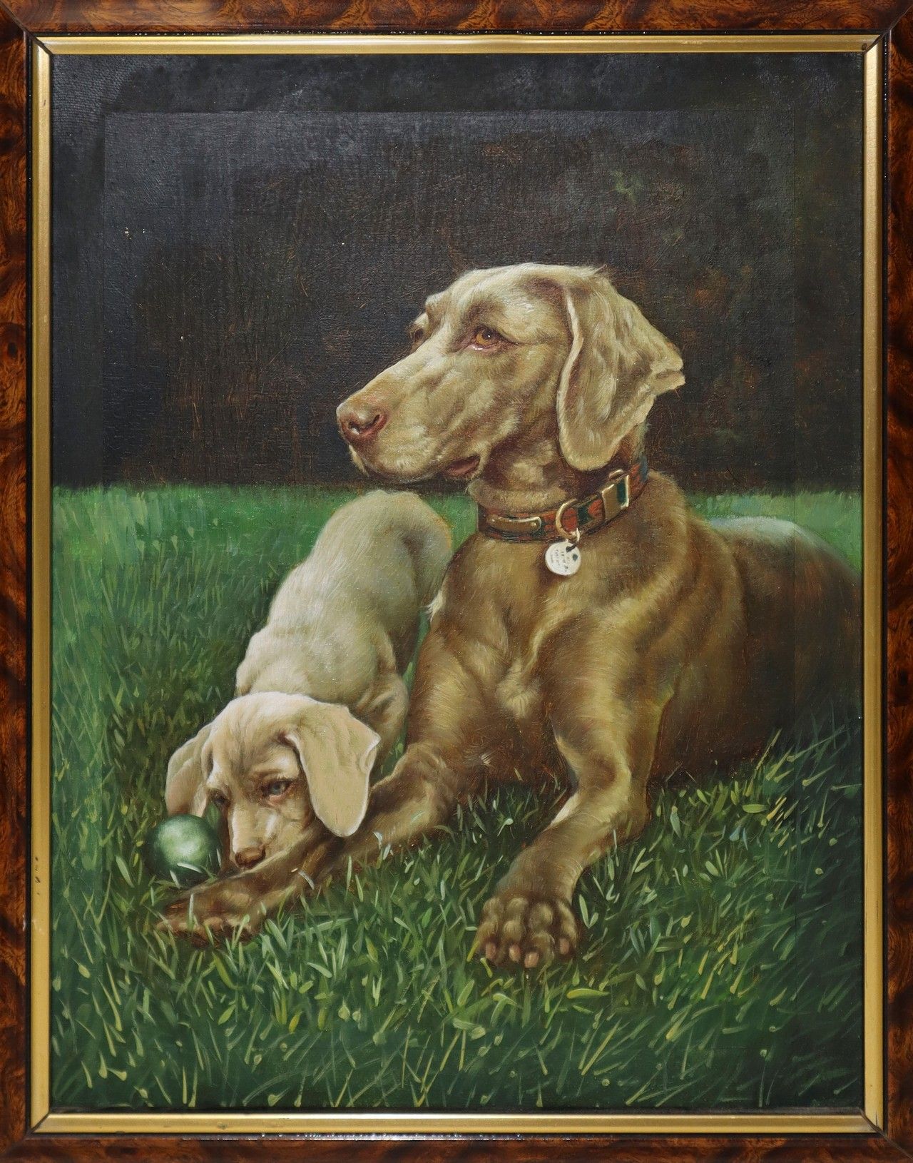 Null Paire de chiens, 20e siècle peintre cm 40x31 ; dans le cadre cm 54x44 huile&hellip;