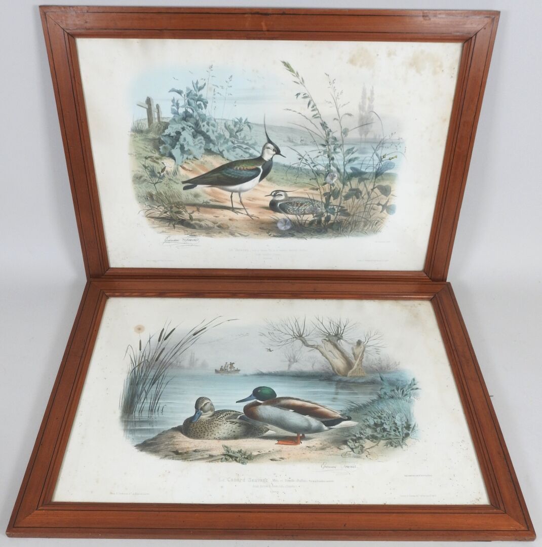 Null Édouard TRAVIES (1809-1876)之后。

百灵鸟和野鸭子。

两幅由印刷厂LEMERCIER制作的石版画。

37 x 54 厘&hellip;
