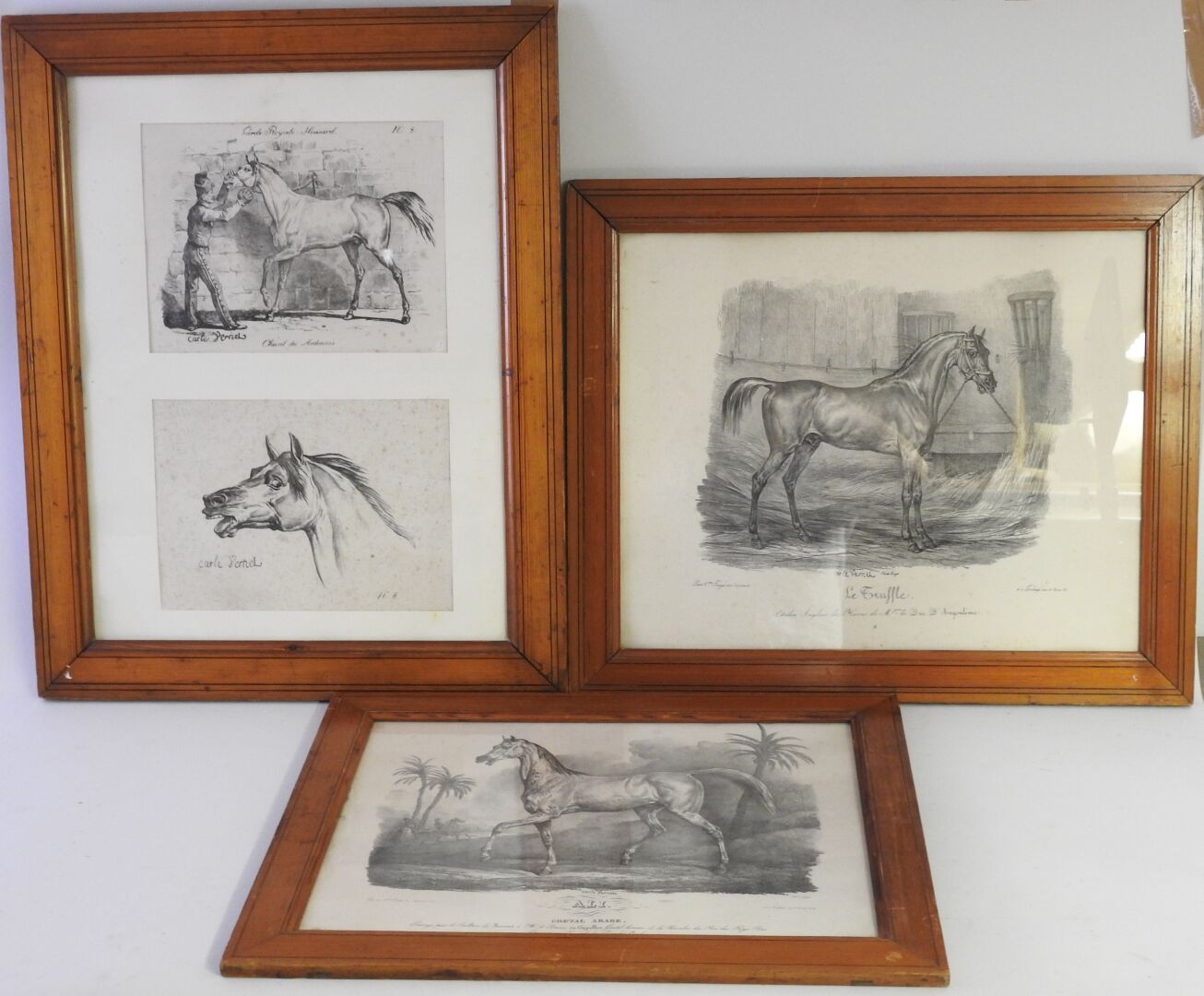 Null Carle VERNET (1758-1836) nach.

Vier Lithographien von Pferden, darunter: "&hellip;
