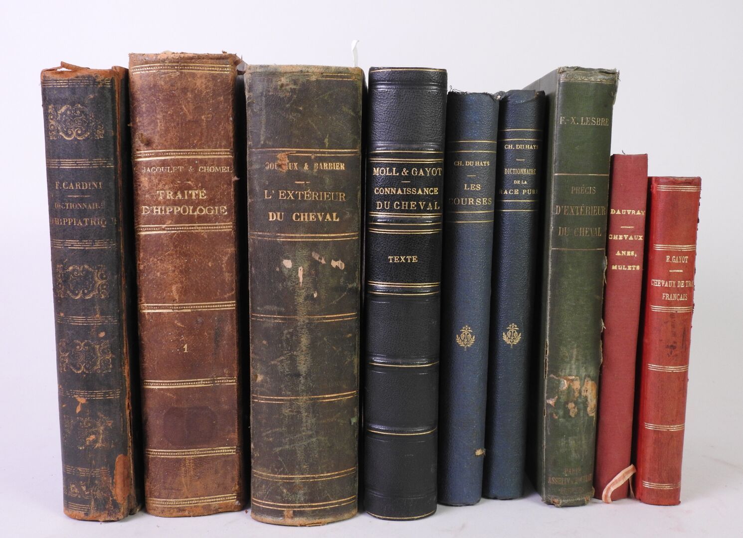 Null Lot of 9 books on the horse including :

-Dictionary of hippiatrics, 1845.
&hellip;