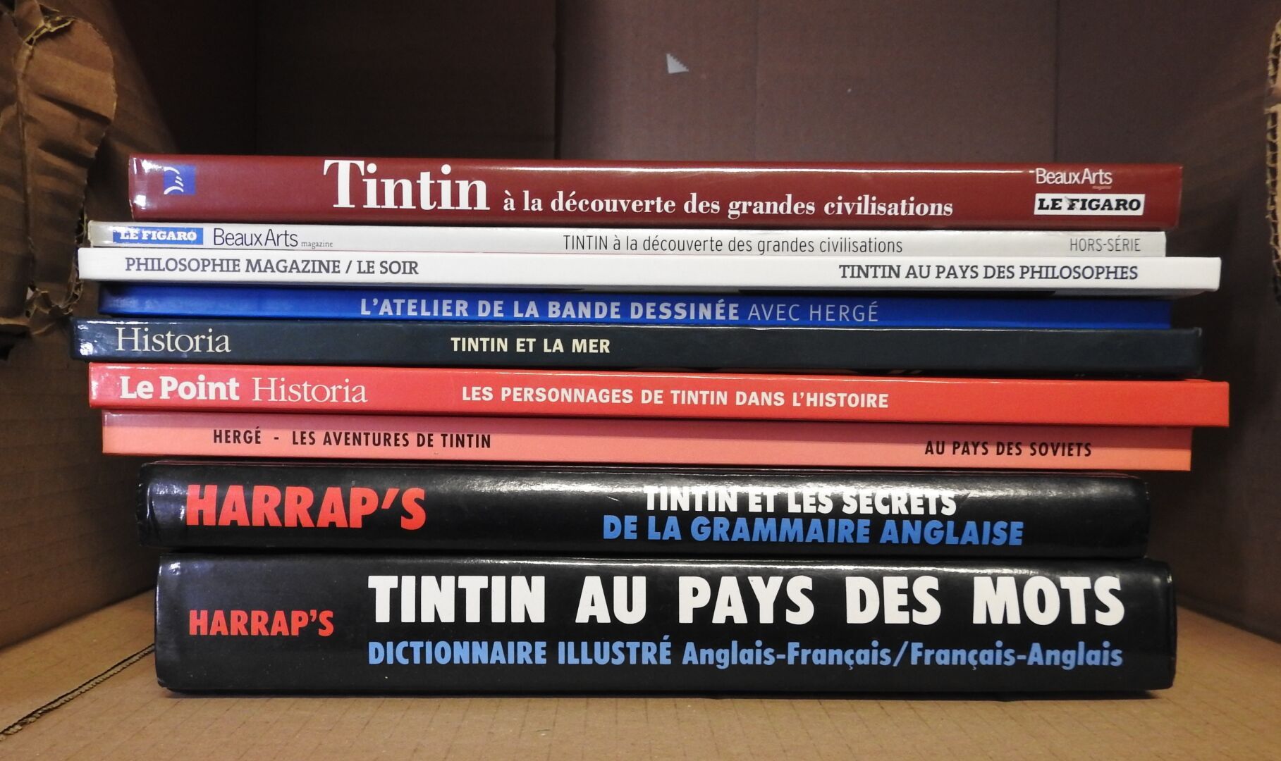 Lot Tintin 各种各样的丁丁漫画、杂志和字典。 
如是