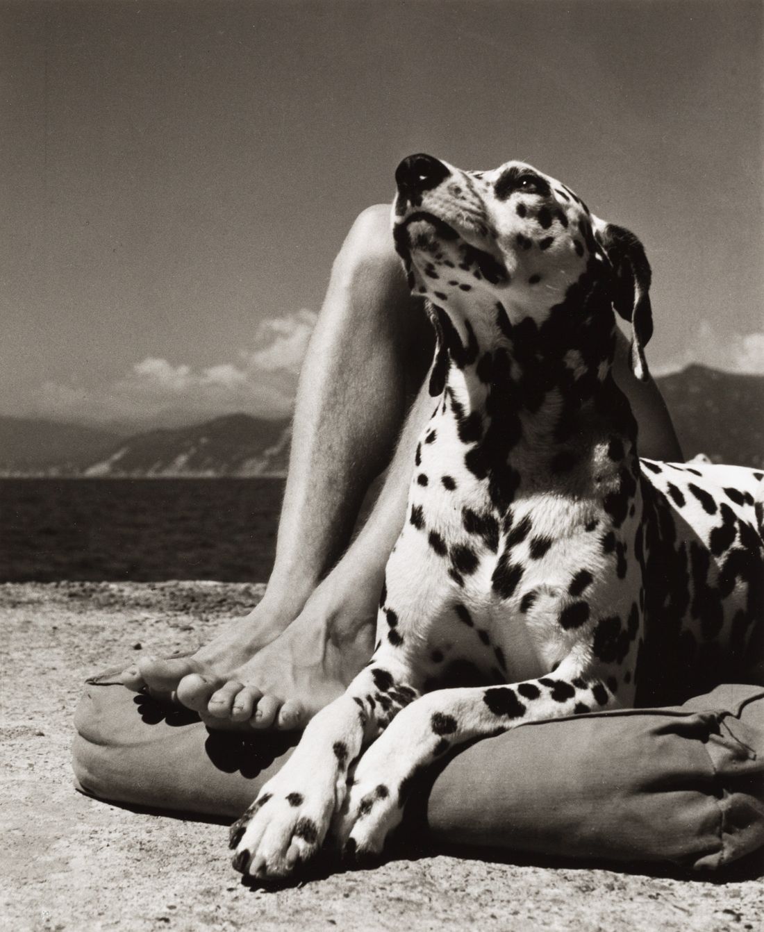 HERBERT LIST (1903–1975) HERBERT LIST (1903-1975) | 'Maître et chien', Italie, P&hellip;