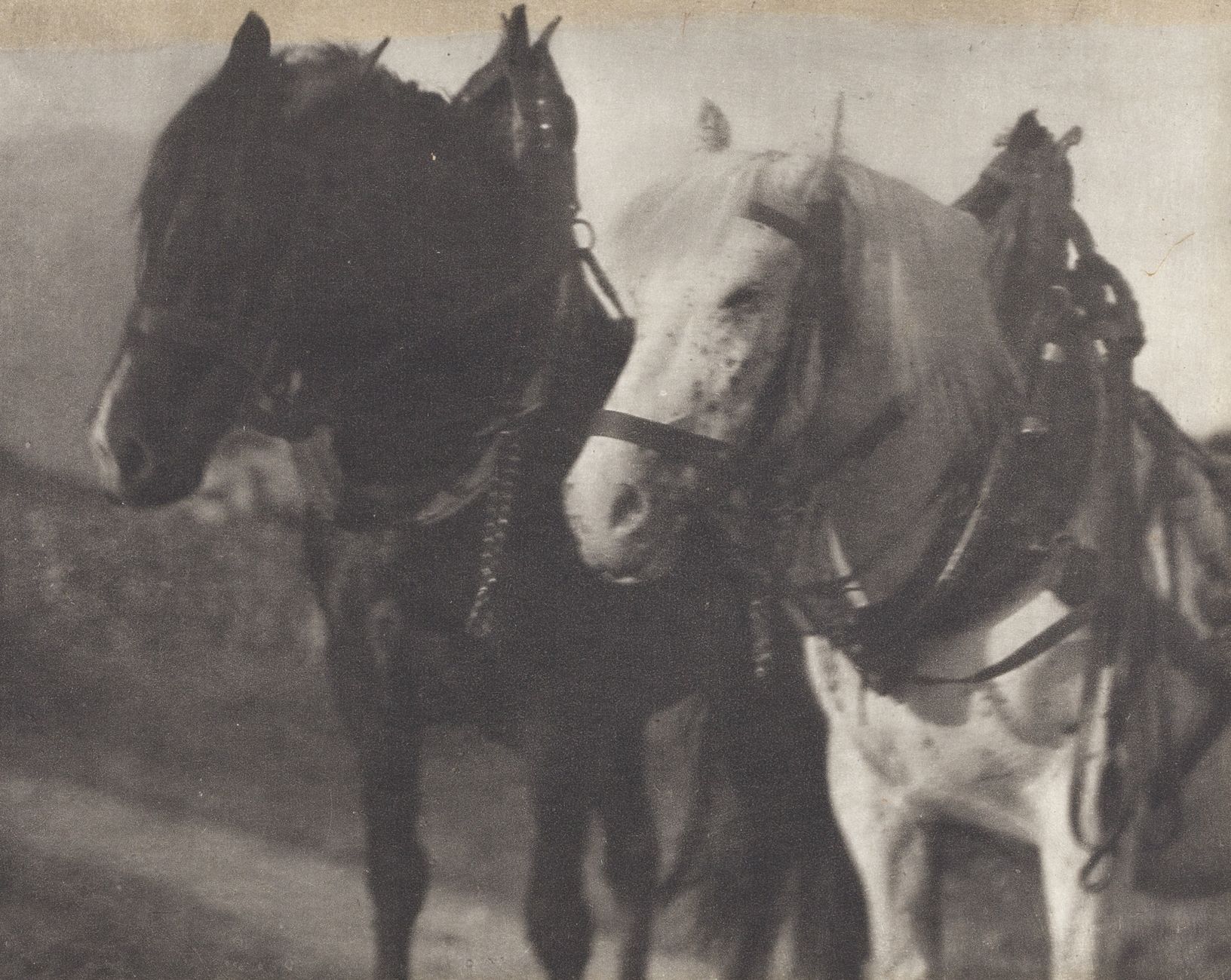 ALFRED STIEGLITZ (1864–1946) 
ALFRED STIEGLITZ (1864-1946)

'Horses', 1904

Bild&hellip;