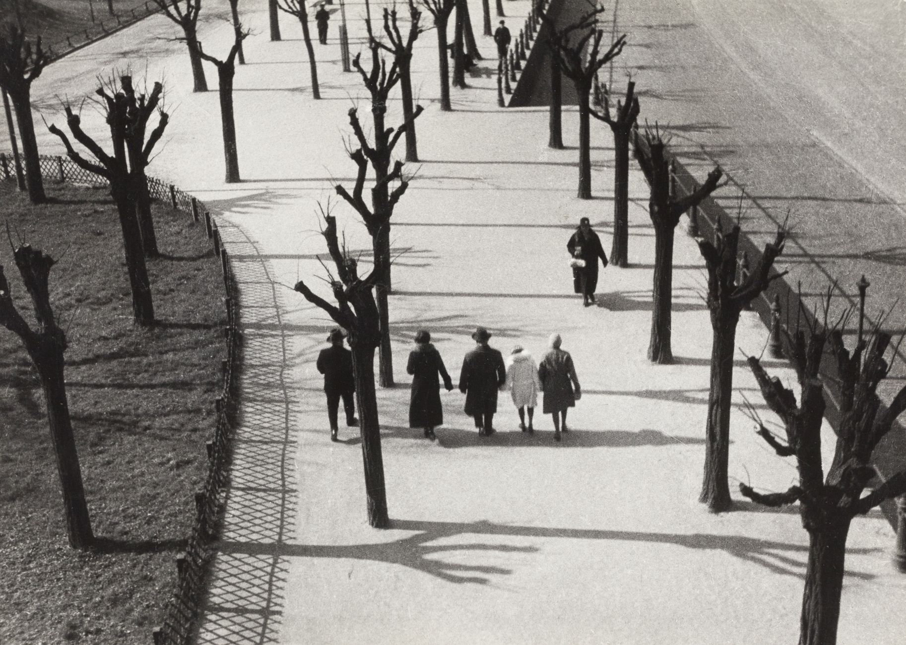 PAUL WOLFF (1887–1951) 
保罗-沃尔夫 (1887-1951)

秋天》（公园里的散步者），法兰克福，德国，约1935年

图片尺寸: 1&hellip;