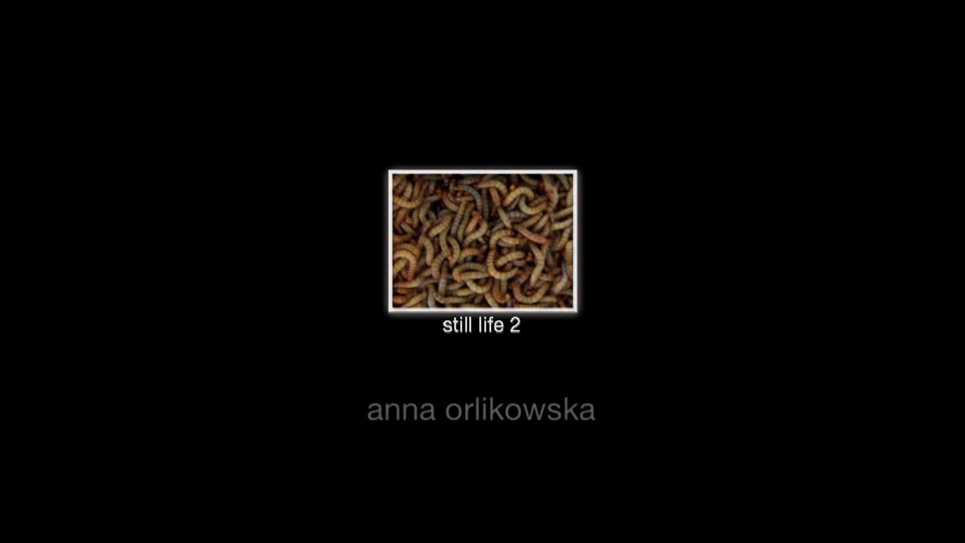 ANNA ORLIKOWSKA ANNA ORLIKOWSKA

(1979)

Still life 04 - wormsfilm II

DVD video&hellip;