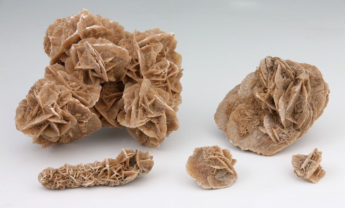 Null Collection of 5 SAND ROSES

L. Between 7 and 32 cm

(chips)