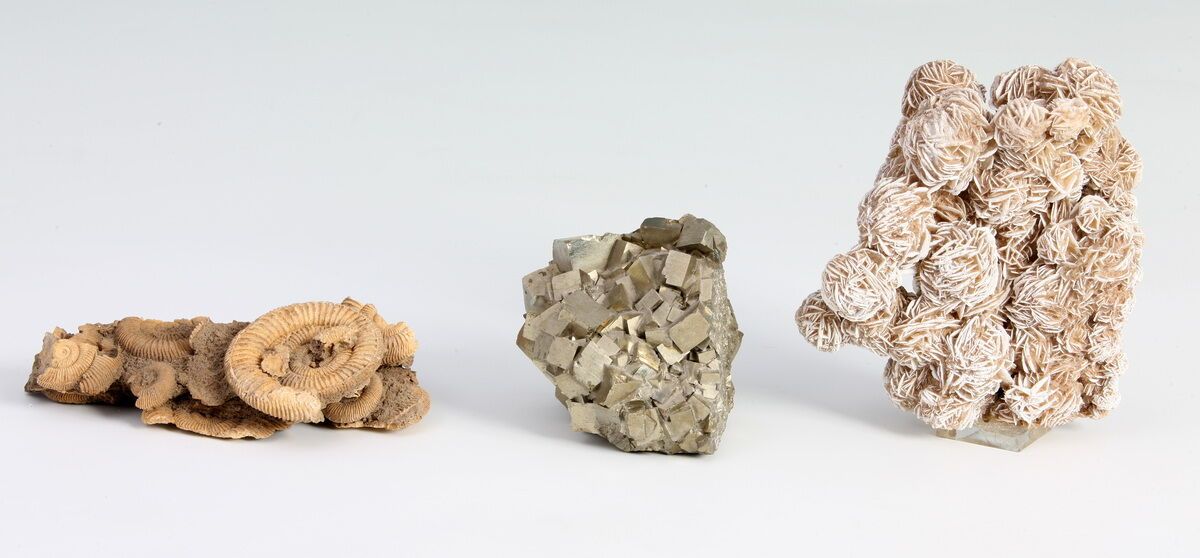 Null 3种矿物质，包括。

- 阿莫尼特（长15厘米

- 黄铁矿（高8厘米

- 沙玫瑰（底座上-高13厘米