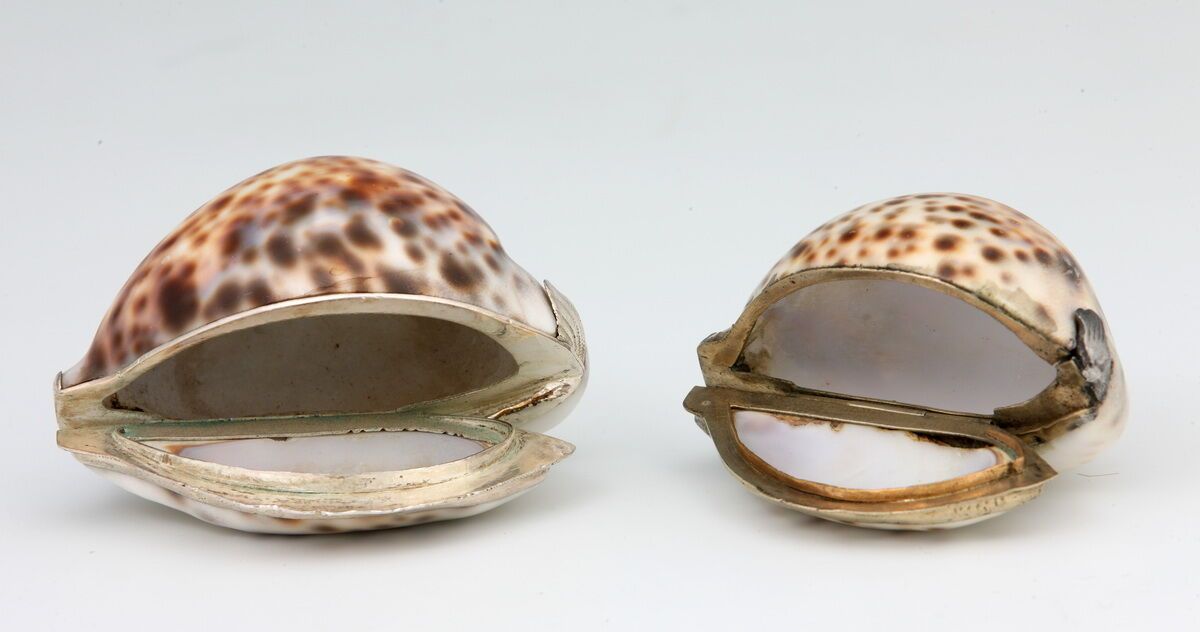 Null 2 shell boxes

20th Century

Silver mounting

L. 8 and 7,5 cm

Pb. 207 gr