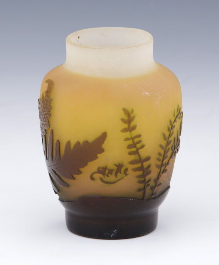 Null 确立Gallé

卵形花瓶，窄颈

多层玻璃中

酸蚀浮雕的蕨类植物

签名

H.7.8厘米