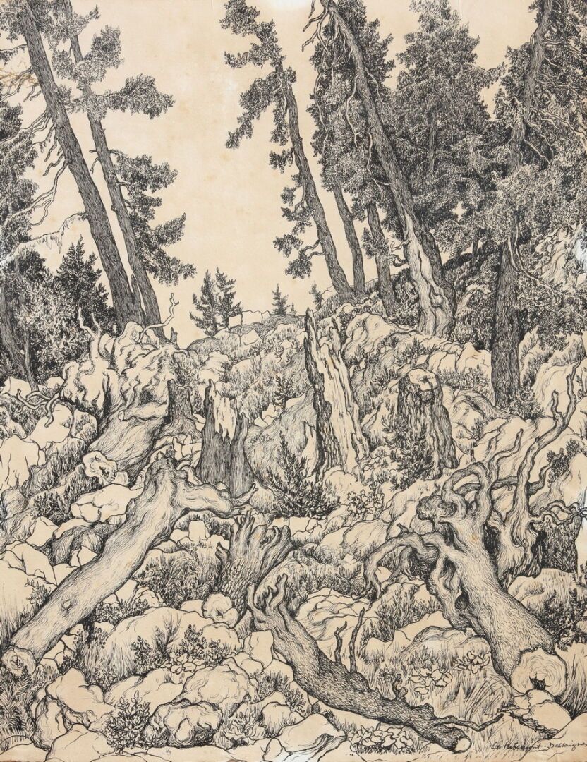 Null Georges RIBEMONT-DESSAIGNES (1884-1974)
Paesaggi montani con alberi
Coppia &hellip;