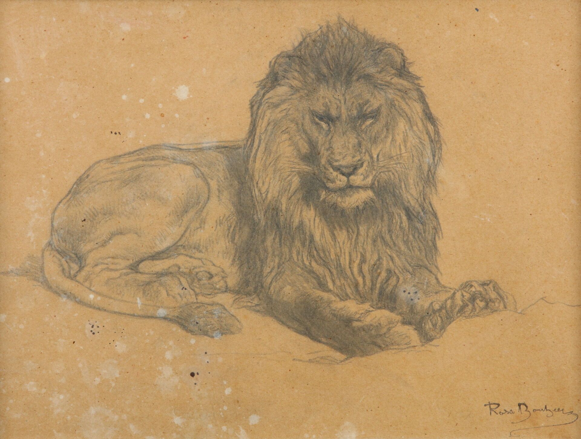Null Rosa BONHEUR (1822-1899)
Lion couché
Dessin au crayon noir et à l'estompe s&hellip;