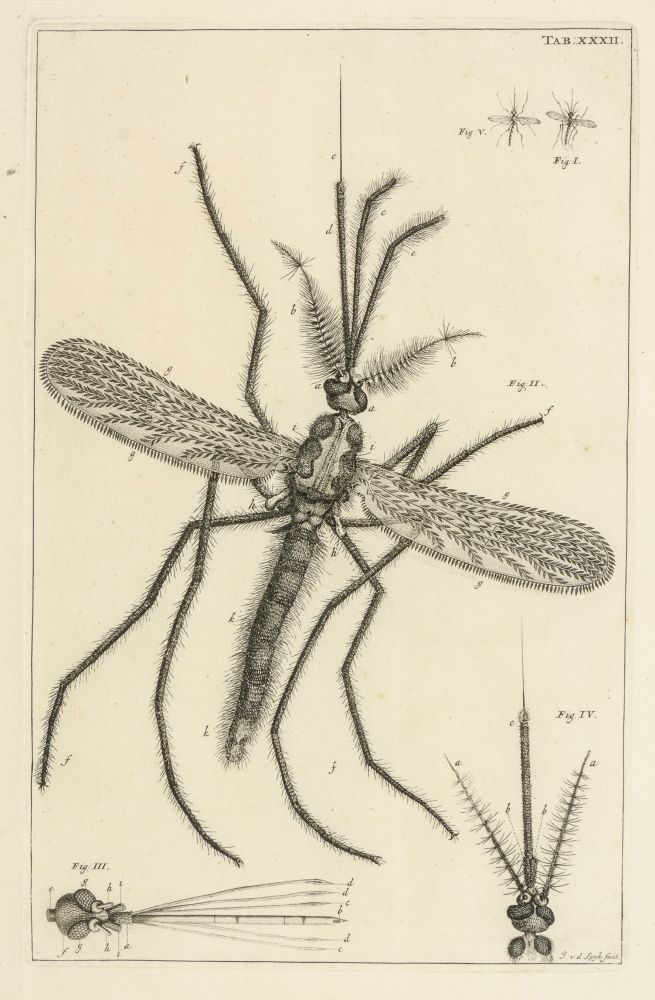 Biologie - Zoologie - - Swammerdam, J. Biologie - Zoologie - - Swammerdam, J. By&hellip;