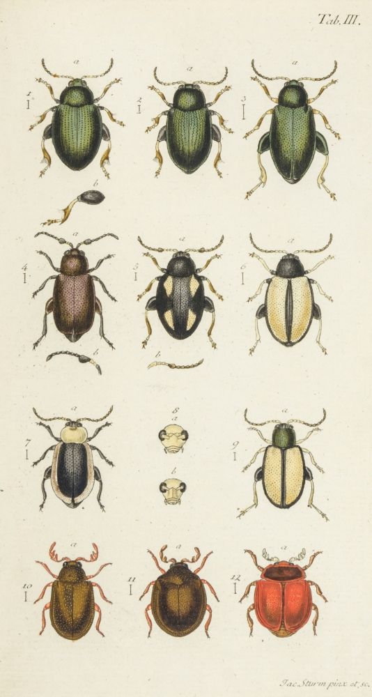 Biologie - Zoologie - - Entomologische Biologie - Zoologie - - Cahiers entomolog&hellip;