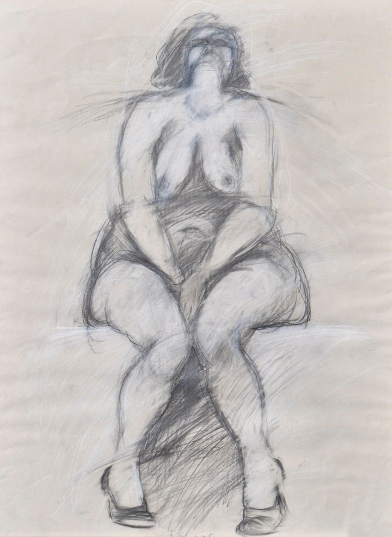 Adolf Frohner (Großinzersdorf 1934 - Wien/Vienna 2007) 坐着的女人，纸上铅笔和白铅，63,5 x 48厘米&hellip;