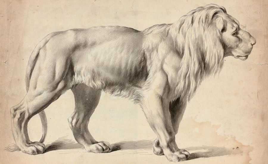 Null de BOISSIEU Jean-Jacques (Lyon 1736-1810)
"Etude de lion debout de profil d&hellip;