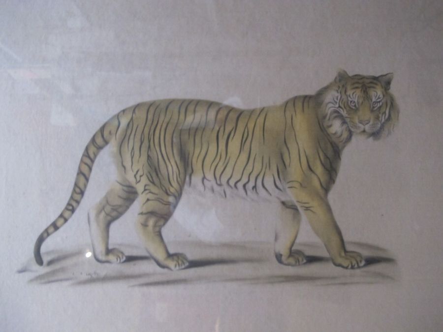 Null Ecole du XXe siècle

Tigre d'Asie

Peinture sur soie contrecollée sur papie&hellip;