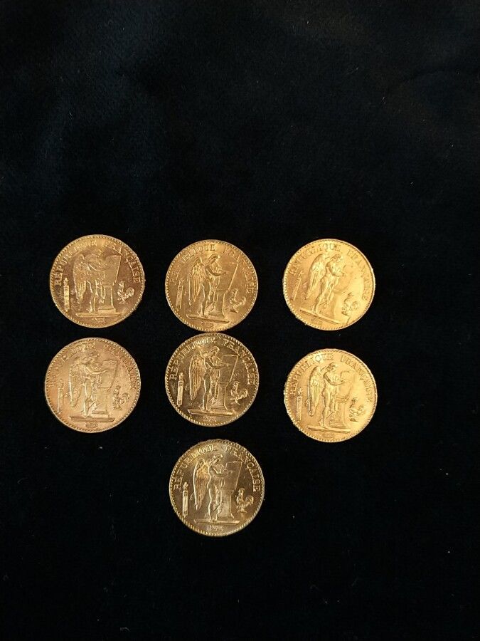 Null 法国 - 7枚20法郎或精灵硬币，第三共和国 (1893, 1897, 1898)



重量：44.95克。