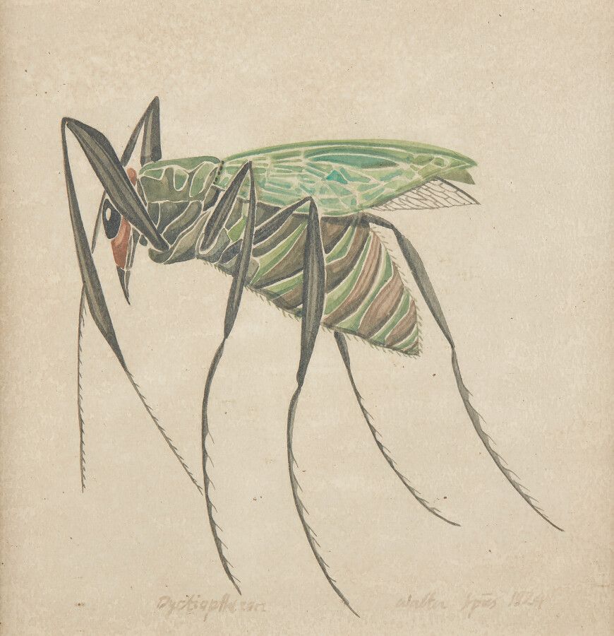 Null SPIES Walter (Moscou 1895-vers Ceylan 1942)

Etude d'insecte : "Dyctiapther&hellip;
