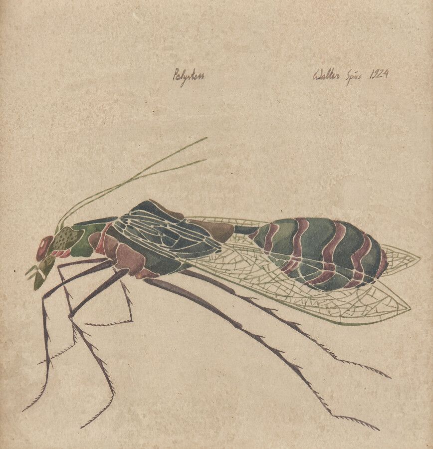 Null SPIES Walter (Moscou 1895-vers Ceylan 1942)

Etude d'insecte : "Polystess"
&hellip;