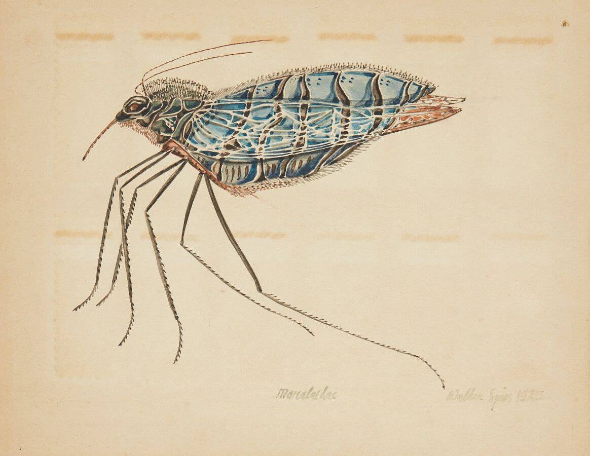 Null SPIES Walter (Moscou 1895-vers Ceylan 1942)

Etude d'insecte : "Maralaedae"&hellip;