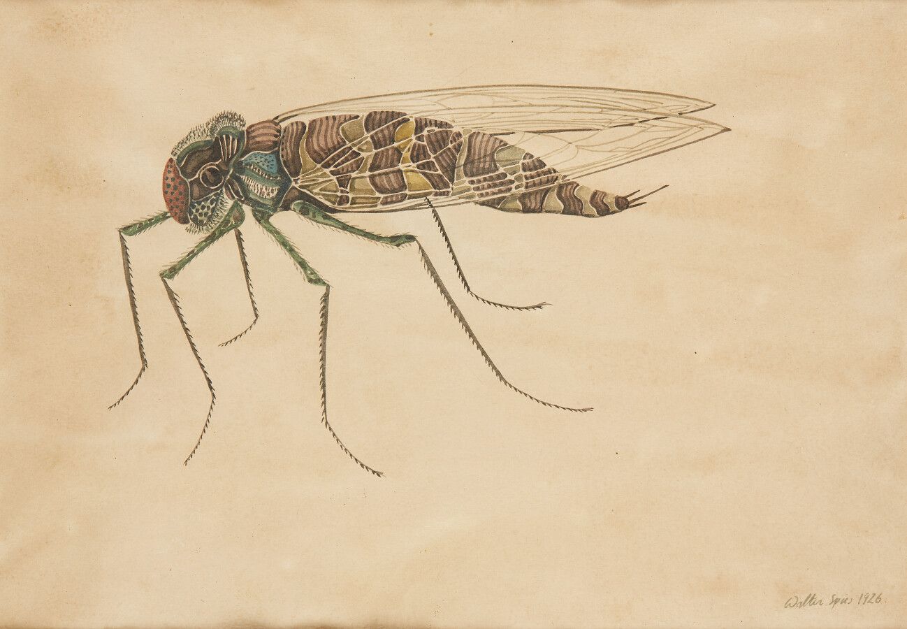 Null SPIES Walter (Moscou 1895-vers Ceylan 1942)

Etude d'insecte

Dessin à l'en&hellip;