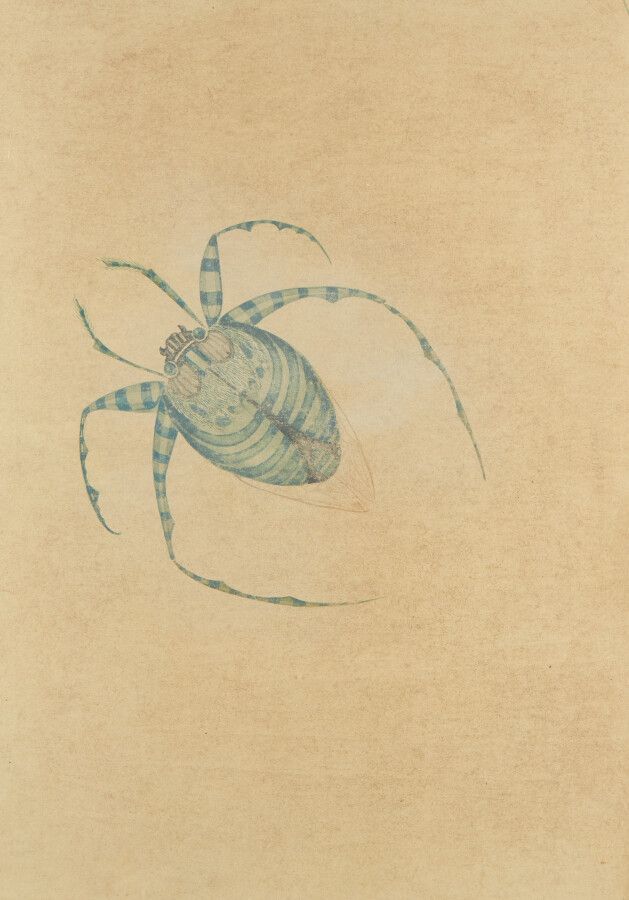 Null SPIES Walter (Moscou 1895-vers Ceylan 1942)

Etude d'insecte

Dessin à l'en&hellip;