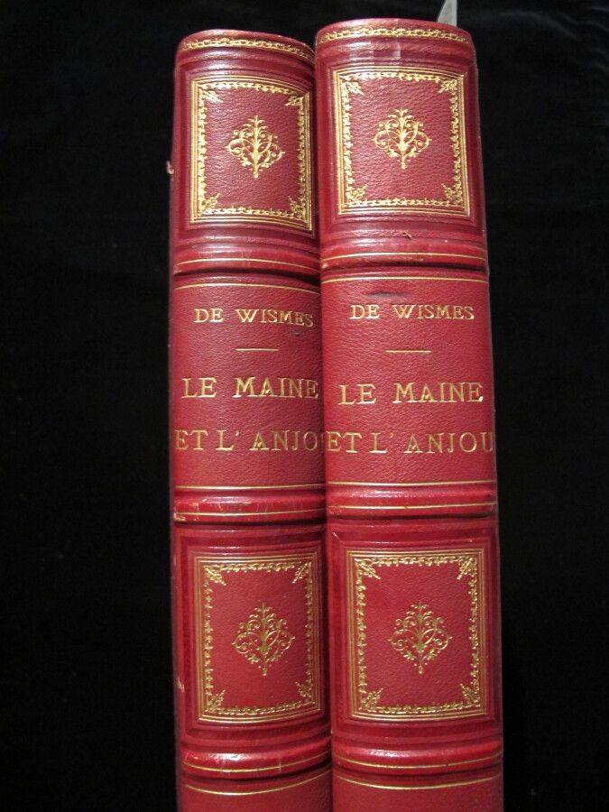 Null ANJOU & MAINE. WISMES (Olivier de). Le Maine et l'Anjou historiques, archéo&hellip;