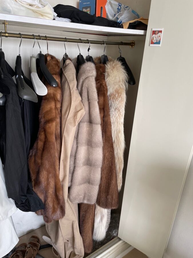 Null Fur coats