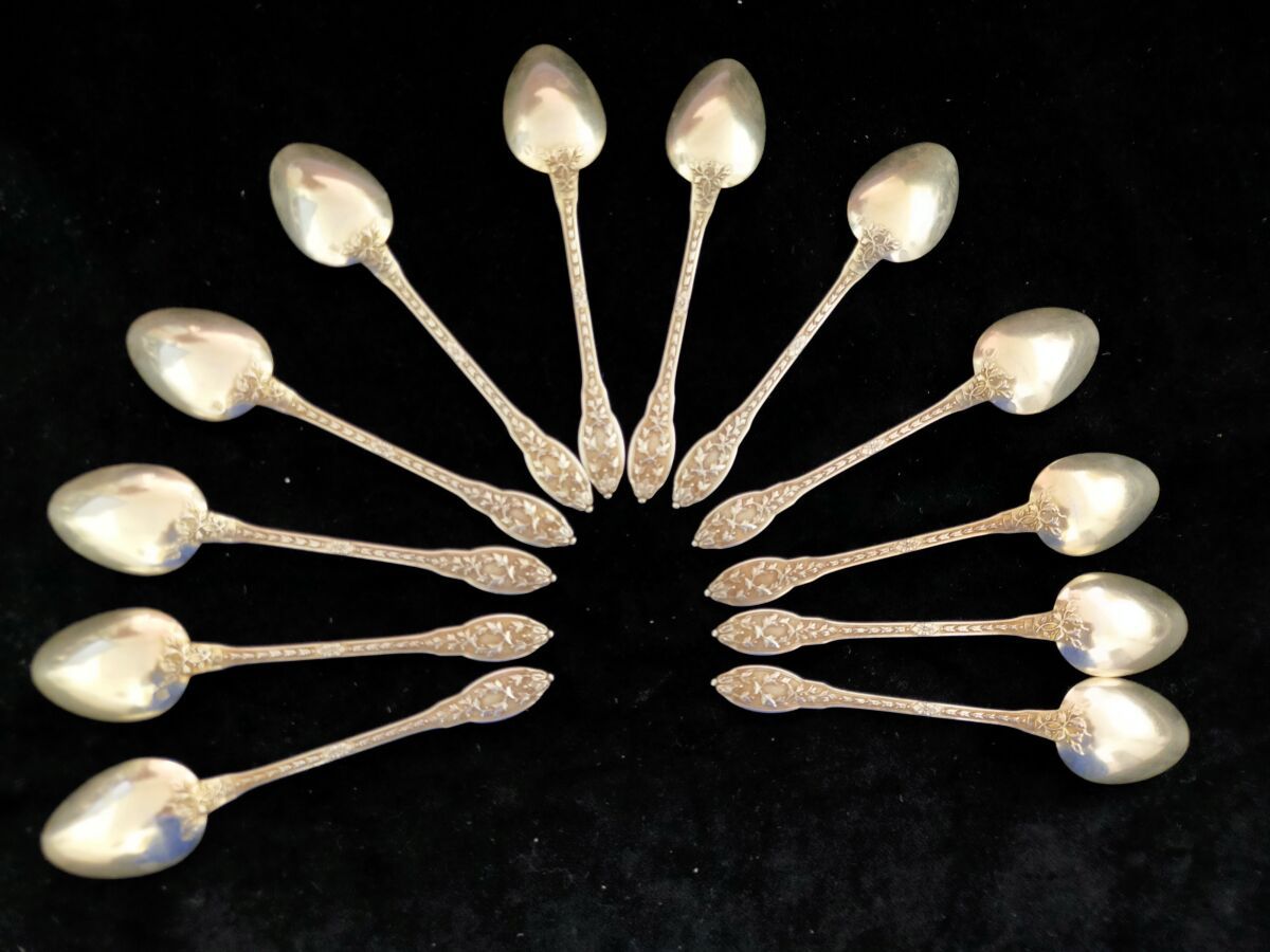 Null 12 cucchiai da moka in argento con design a fogliame

Peso: 150 gr