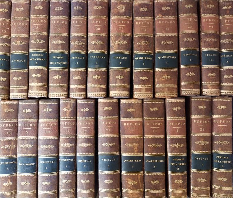 Null 布冯（伯爵）。Histoire naturelle.巴黎，皇家出版社，1774年。23卷，44页，basane racine，光滑的书脊装饰，橙色和绿&hellip;
