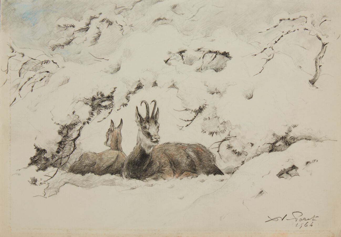 Null 作者：泽维尔-波雷（1894-1975） 
躺在雪地里的羚羊 
炭笔和彩色铅笔，右下方有签名和 1964 年的日期
20 x 28.5 厘米