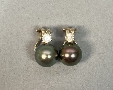 Null Pair of ear clips in 18K (750/°°°) yellow gold adorned with Tahitian pearls&hellip;