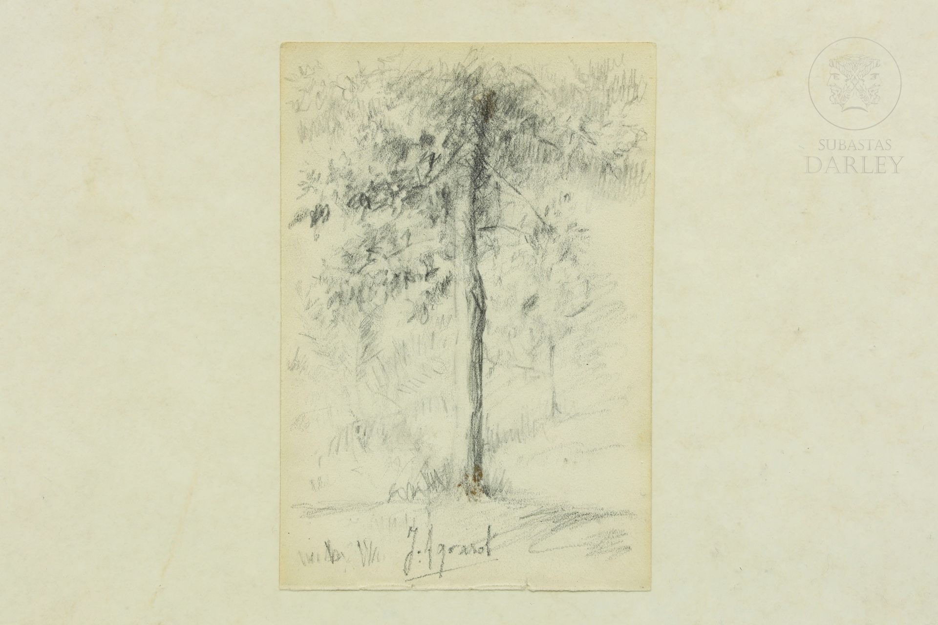 Joaquín Agrasot y Juan (1836/37 - 1919) "Árbol" 
Dessin sur papier. Signé "J. Ag&hellip;