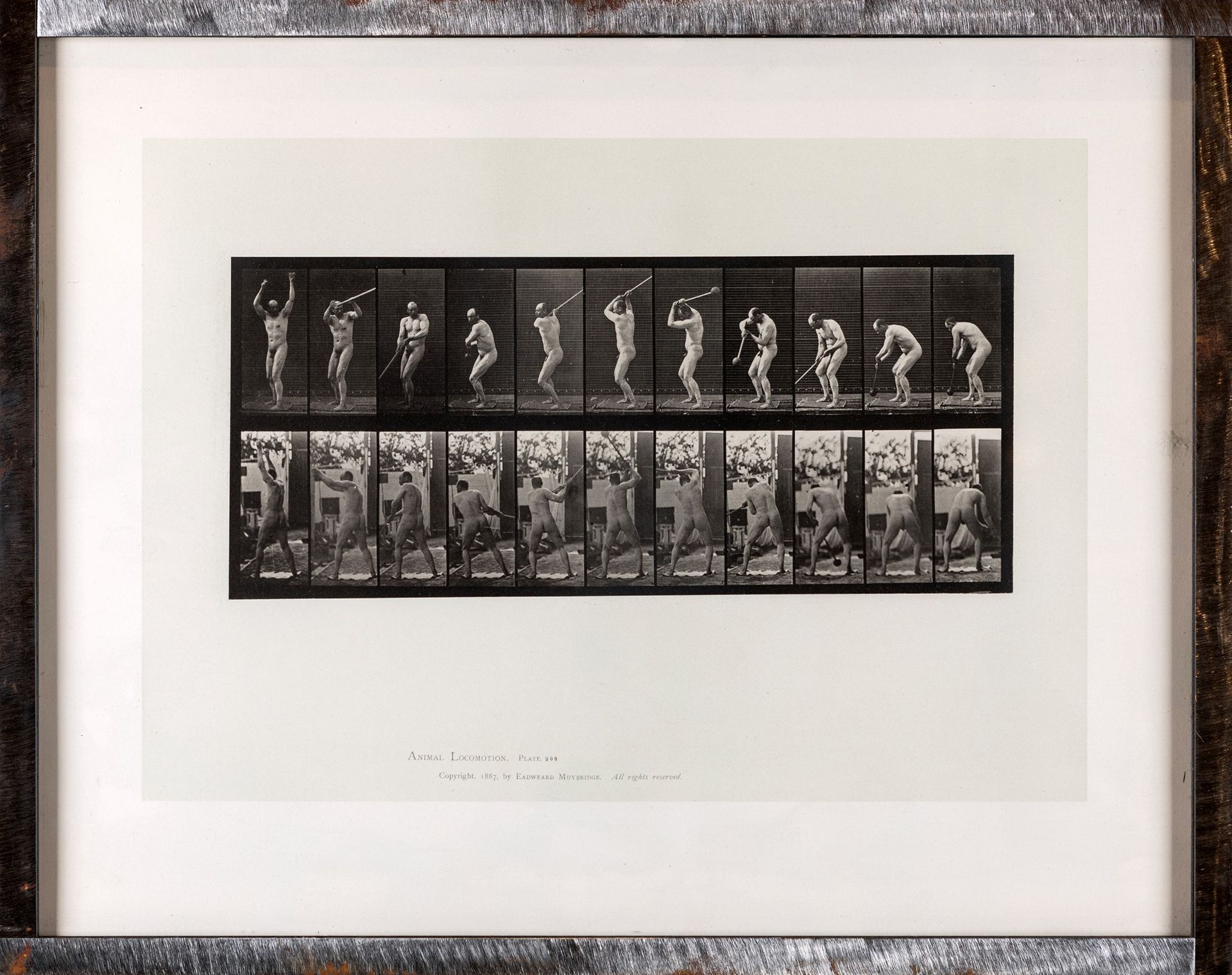 Eadweard Muybridge Animal Locomotion (10 Sport Studies) plate 308 原始拼版画48.3x61厘米&hellip;